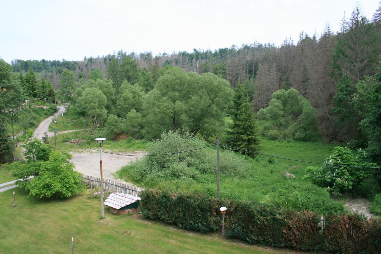 Naturferienhaus Luppbodemuhle Allrode Exterior photo